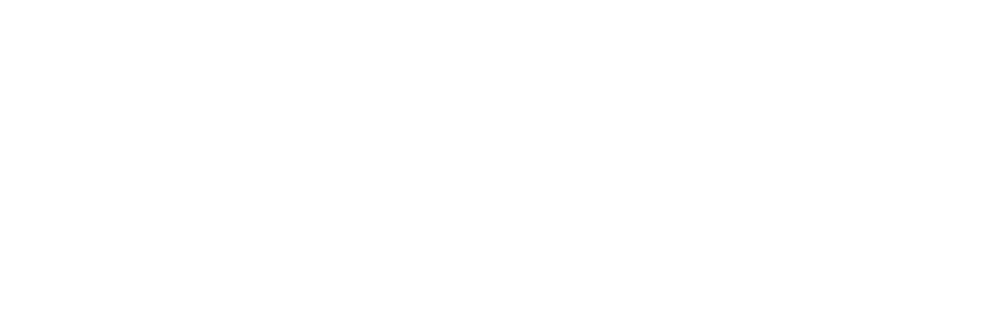 SpaceX logo